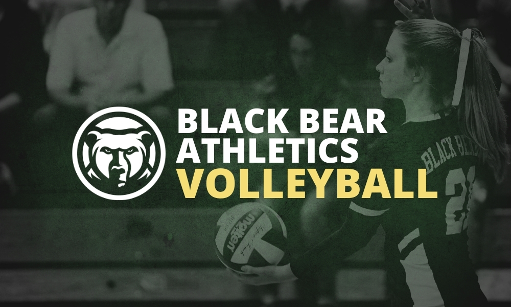 Women's Volleyball vs. Chesapeake College